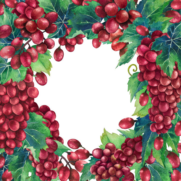 树枝上挂着一串串红葡萄图片下载