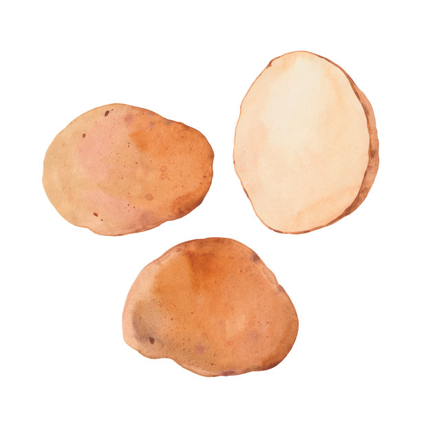 马铃薯水彩画插图图片下载