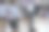 学校典礼图片下载