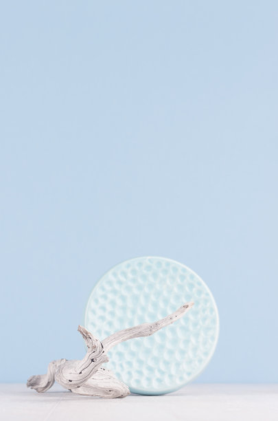 优雅的现代家居装饰，装饰光滑的陶瓷圆肋盘和老枯枝在白木桌上。图片下载