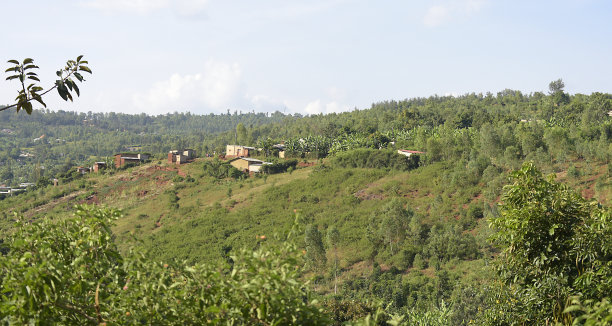 卢旺达基加利南部的乡村图片下载