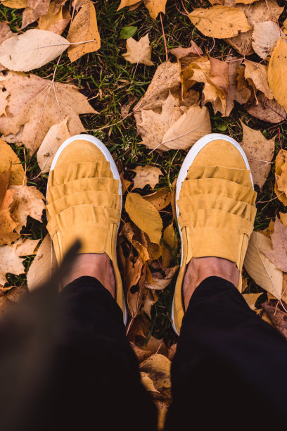 黄色时髦的鞋子在秋天的叶子照片从上面拍摄图片下载