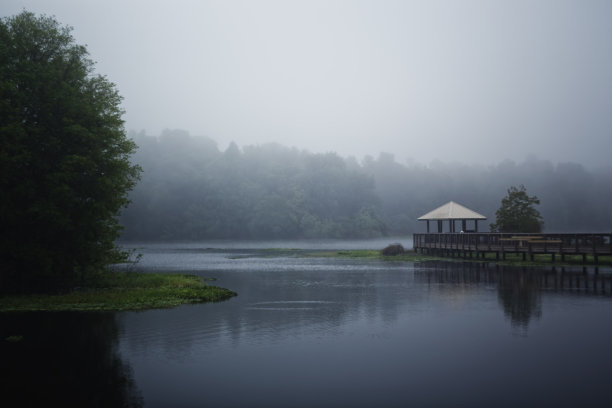湿地的晨雾图片下载