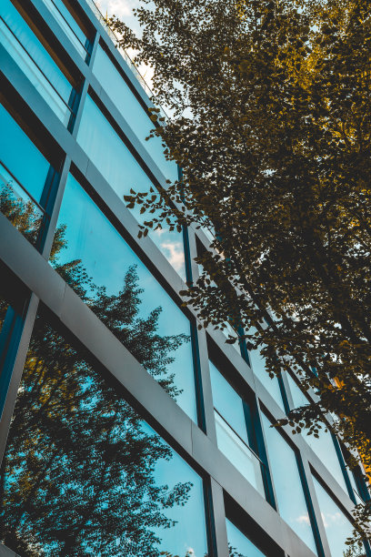现代玻璃幕墙建筑的高形式图片，深色，正面有秋天的树木图片下载