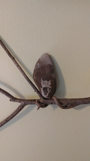 喔在我的树枝上?图片下载