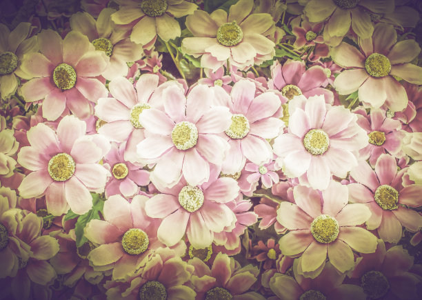 粉红色花的背景图片下载