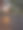 森林中的夏天图片下载