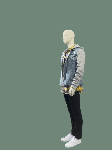 男性人体模型图片下载