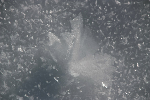 近距离观察冰花图片下载