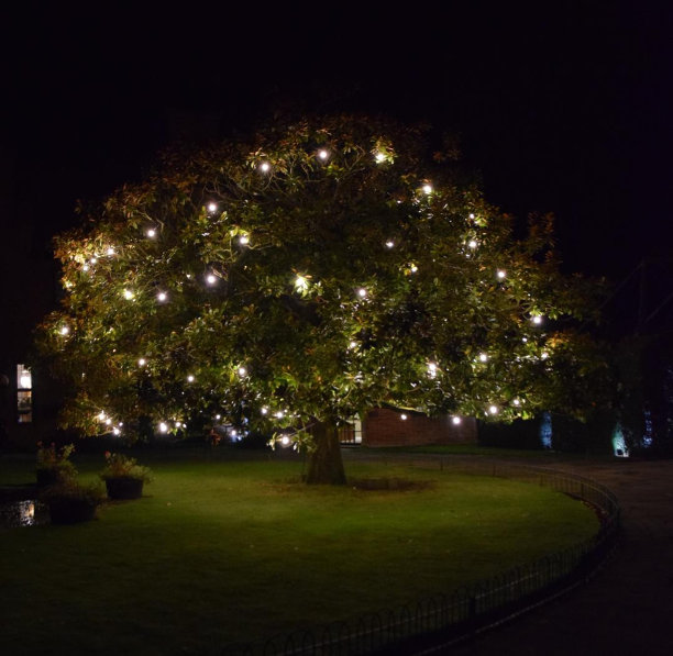 完美的设置图片下载