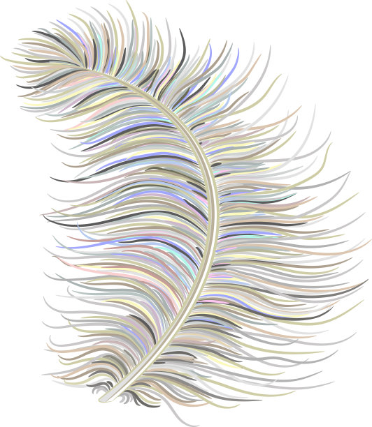 羽绒绒毛图片下载