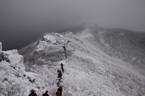 VD041冬天走图片下载