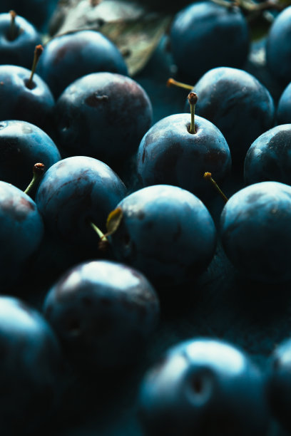 许多新鲜的李子在蓝色的背景接近图片下载