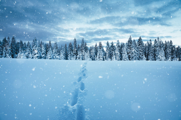 冬天的路径图片下载