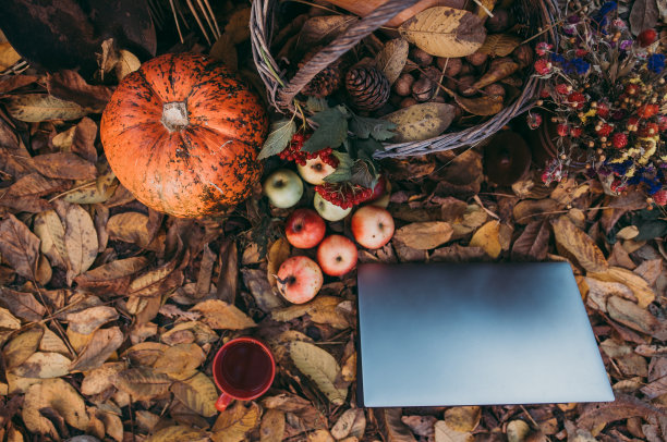 利用科技进行秋季购物图片下载