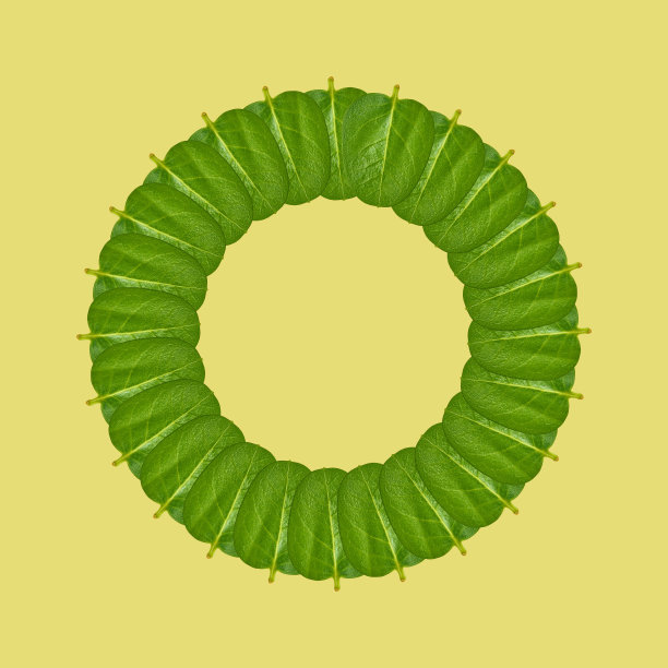 绿叶背景，框架和边框，复制空间照片图片下载