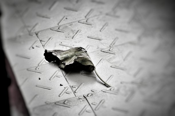 暴风雨后的寂静。图片下载