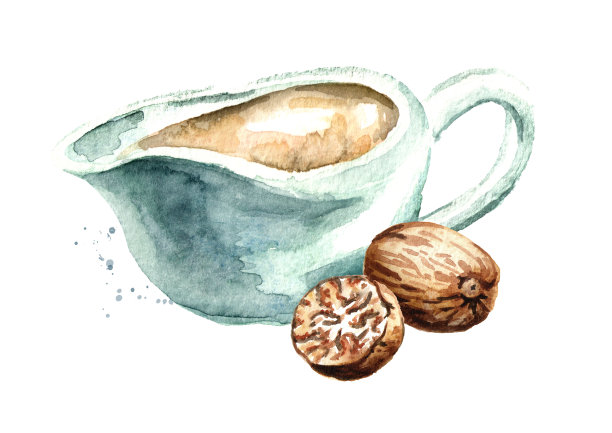 白汁配肉豆蔻坚果。水彩手绘插图，孤立的白色背景图片下载