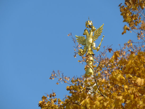 纹章上的俄罗斯蓝天，透过秋日的树枝观赏图片下载
