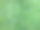 绿草的背景图片下载
