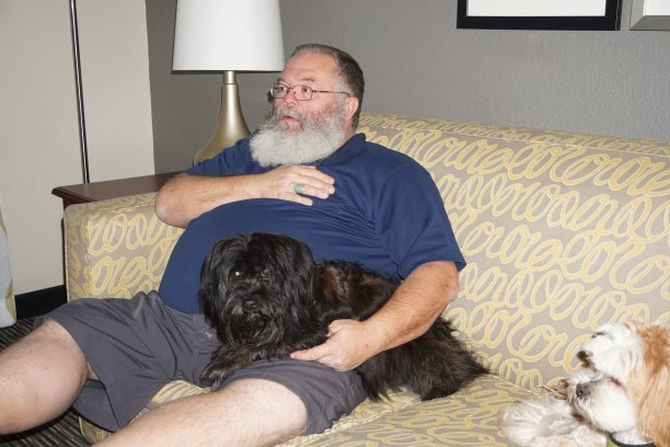 家庭生活——人与狗图片下载