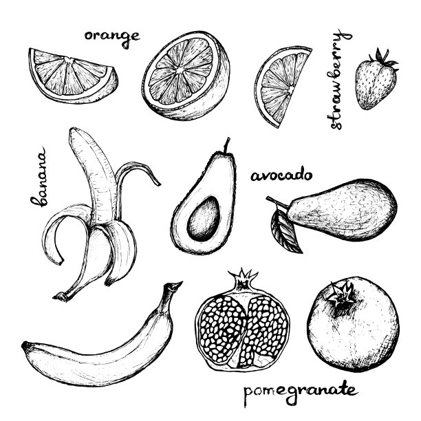 素食菜单- 10个手绘对象-香蕉，石榴，橙子和鳄梨图片下载