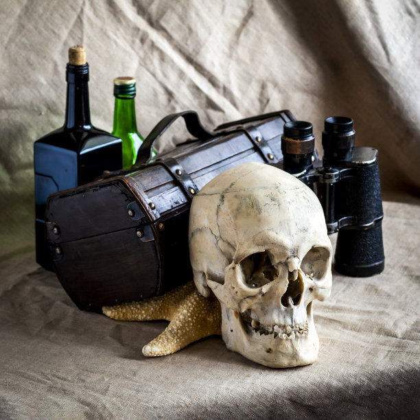 盗版的静物。图片下载