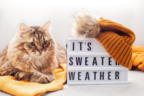 寒冷天气穿舒适的保暖衣服。舒适的秋冬服装选购、销售，款式以新潮的色彩为理念图片下载