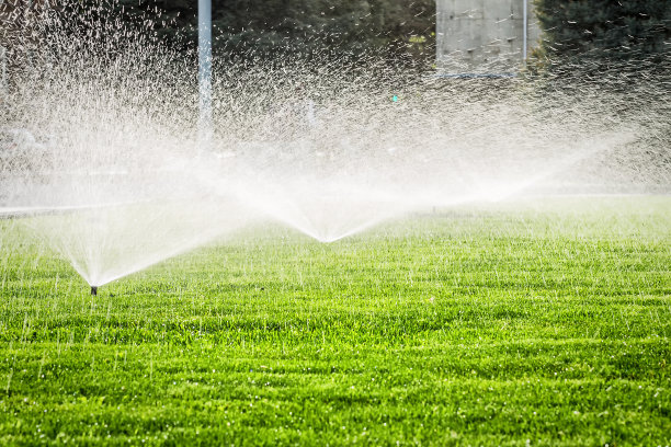 在草地上洒水图片下载