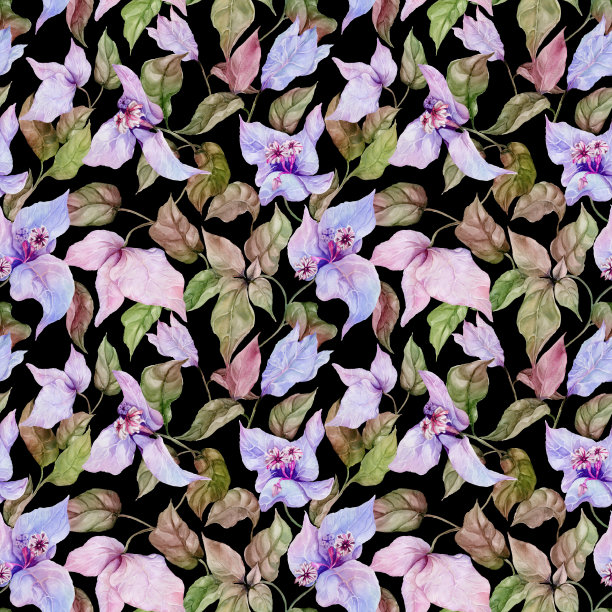 美丽的九重葛花攀缘树枝上黑色的背景。无缝的花卉图案。水彩画。手绘插图图片下载