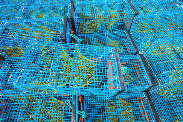 现代龙虾陷阱图片下载