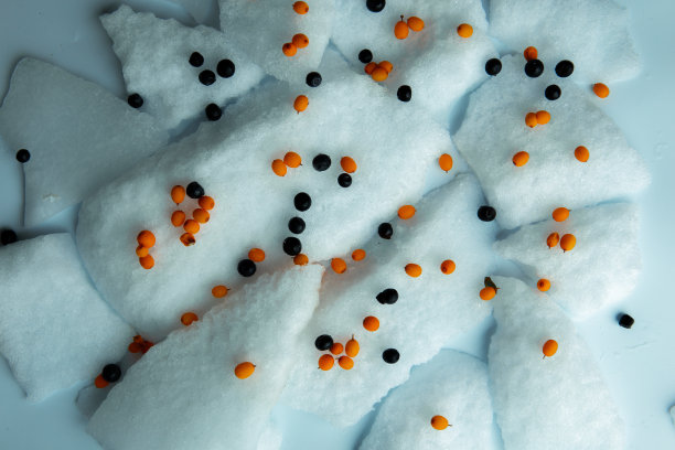 蓝色冰雪背景上的沙棘和黑醋栗，俯视图素材图片