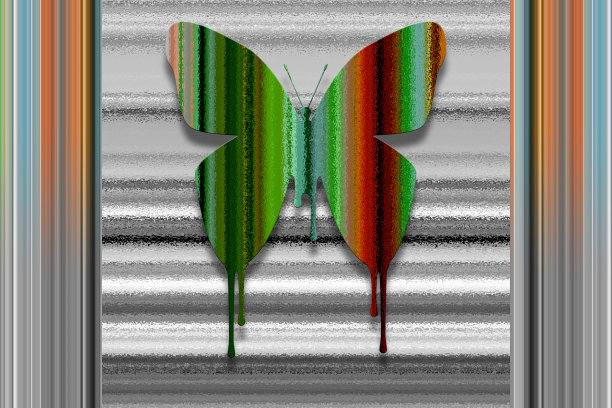 色彩斑斓的蝴蝶图片下载