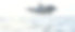 海豚，在海里游泳。图片下载
