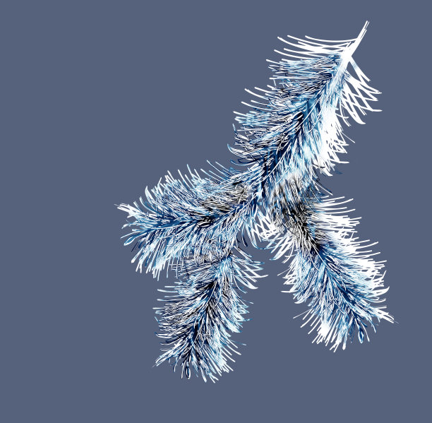 菲尔 · 特威格斯图片下载