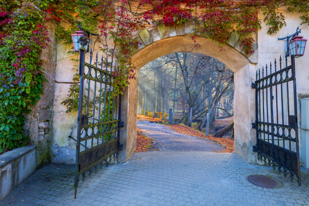 秋天的早晨，在美丽的仙境公园图片下载