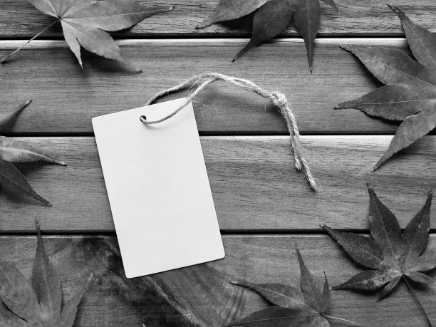 服装标签和枫叶，黑白照片图片下载