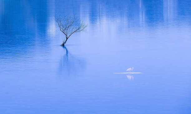 VD726-1冷静3图片下载