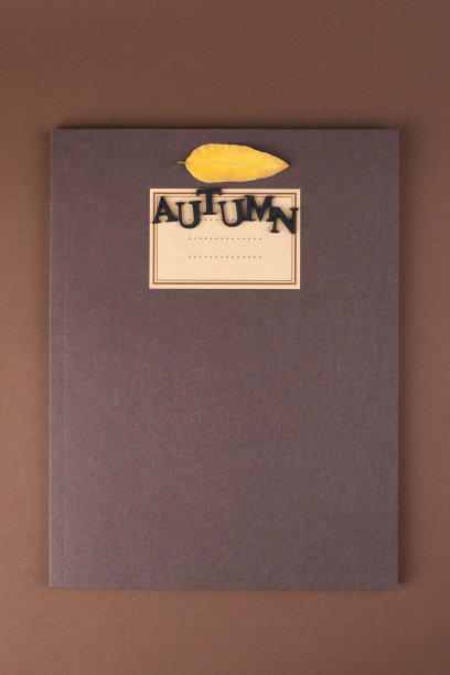 褐色背景与笔记本记录和秋天黄叶。文本的空闲空间。前视图。副本的空间。图片下载