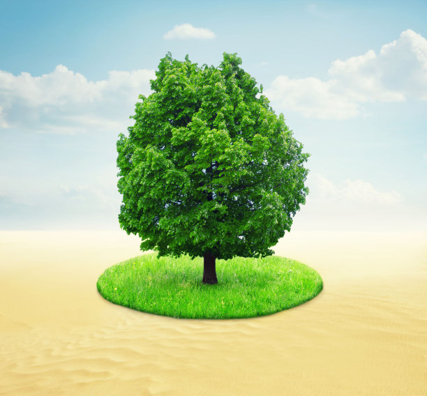 沙漠中长满青草的绿树图片下载