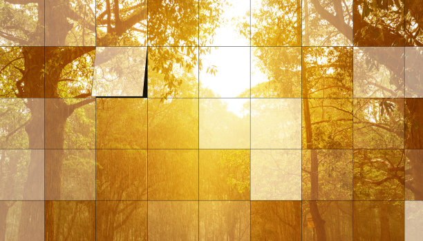 摩天大楼的倒影:瓢泼大雨中的日落花园图片下载