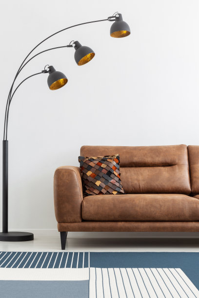 现代灯旁边的白色客厅真皮沙发与图案地毯。真实的照片图片下载