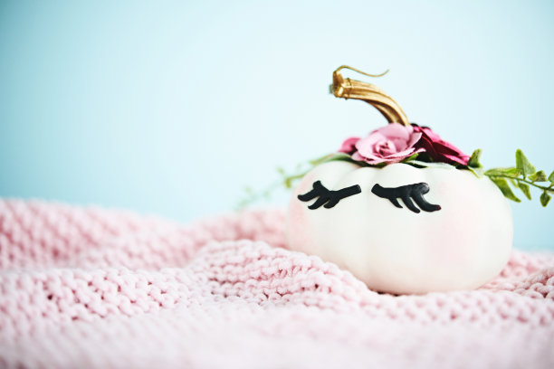 手工独角兽南瓜与针织毯子图片下载