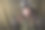 一个女兵的肖像图片下载