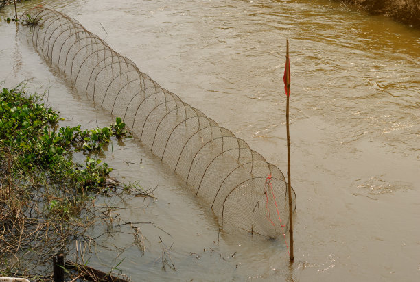 在河里的笼子里抓鱼，运动钓鱼，喂鱼，在泰国的一种钓鱼图片下载
