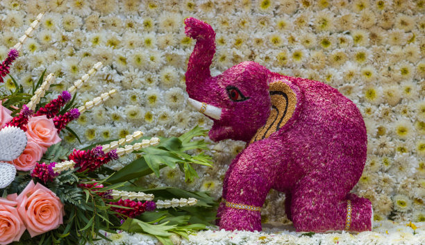 花做的大象雕像。图片下载