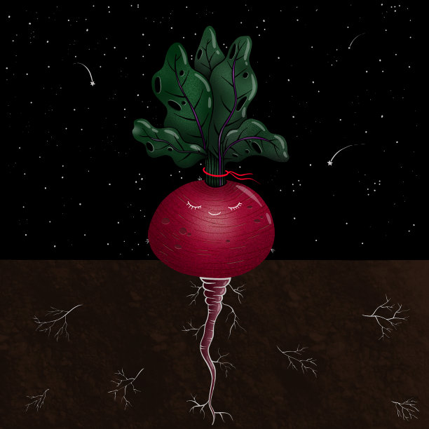 卡通甜菜根在夜间生长在花园里图片下载