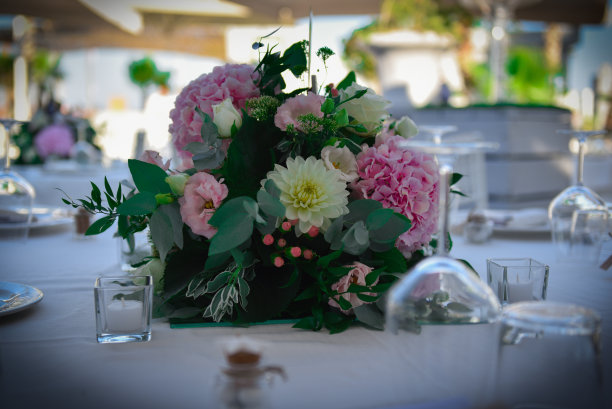 告诉他婚姻的事图片下载