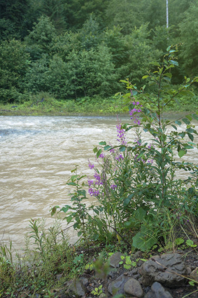 美丽的山河在多云的天气在欧洲的Chati世界。雨水泛滥。设计素材照片图片下载