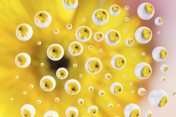 一朵黄花在许多小水滴中的倒影图片下载